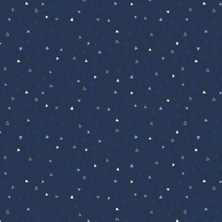 RJR  Triangulate Navy 