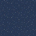 RJR  Triangulate Navy 