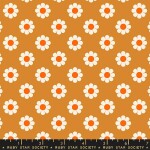 MO Ruby Star Meadow Star Caramel
