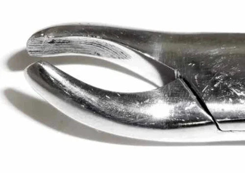 Dental Forcep #24