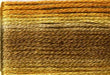Cosmo Seasons Embroidery Floss #8039