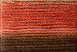 Cosmo Seasons Embroidery Floss #8044
