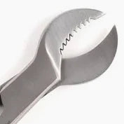 Plaster Nipper, Cow Horn Jaws 8"