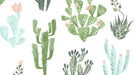 DS Cacti-White
