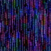 HO Crack The Code Rainbow