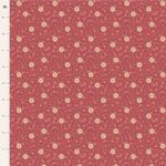 TIL Sanctuary Daisydream Rhuba 100563
