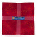 CW Laurel Birch Basics Solar Prism 42pcs 10in Squares 