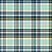 RJR Crazy For Teal Clad In Plaid