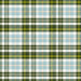 RJR It's Going To be A Great Day Clad In Plaid