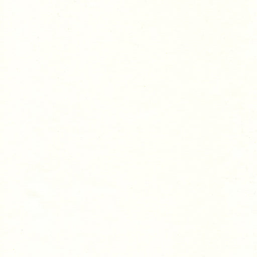 IB White/White Basics